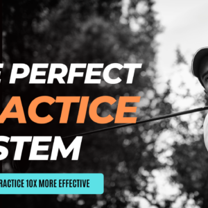 The Perfect Practice System